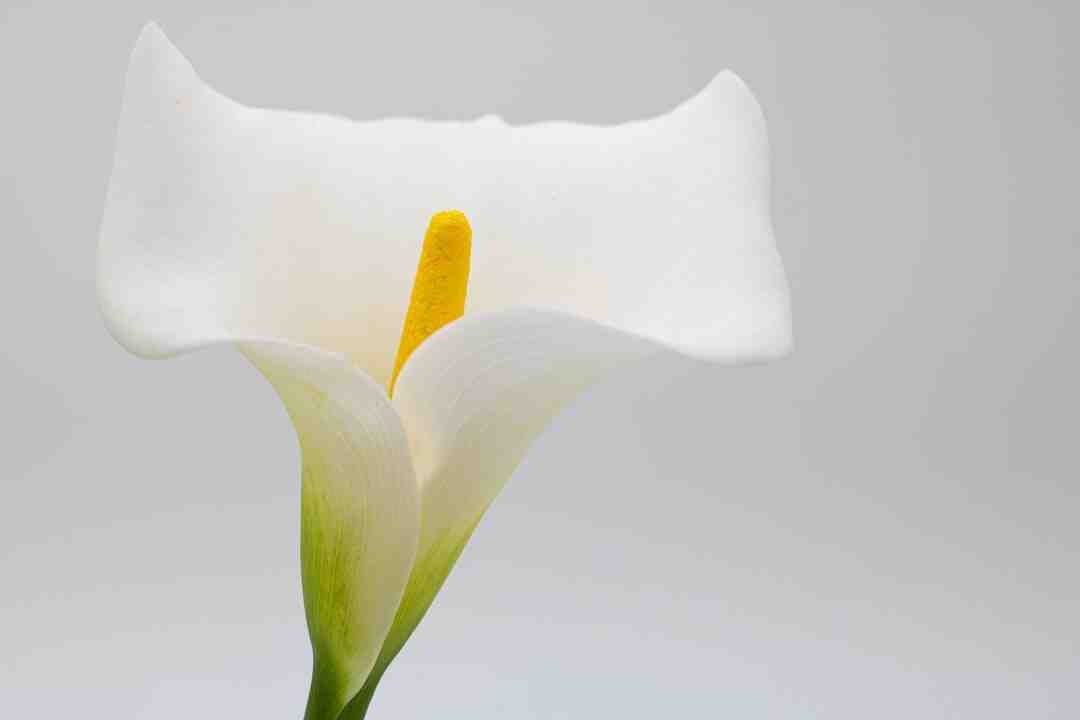 Quel est le meilleur jeu VR ps4 ?