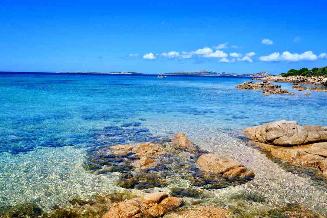 Quel jeu Peut-on faire dans la piscine ?