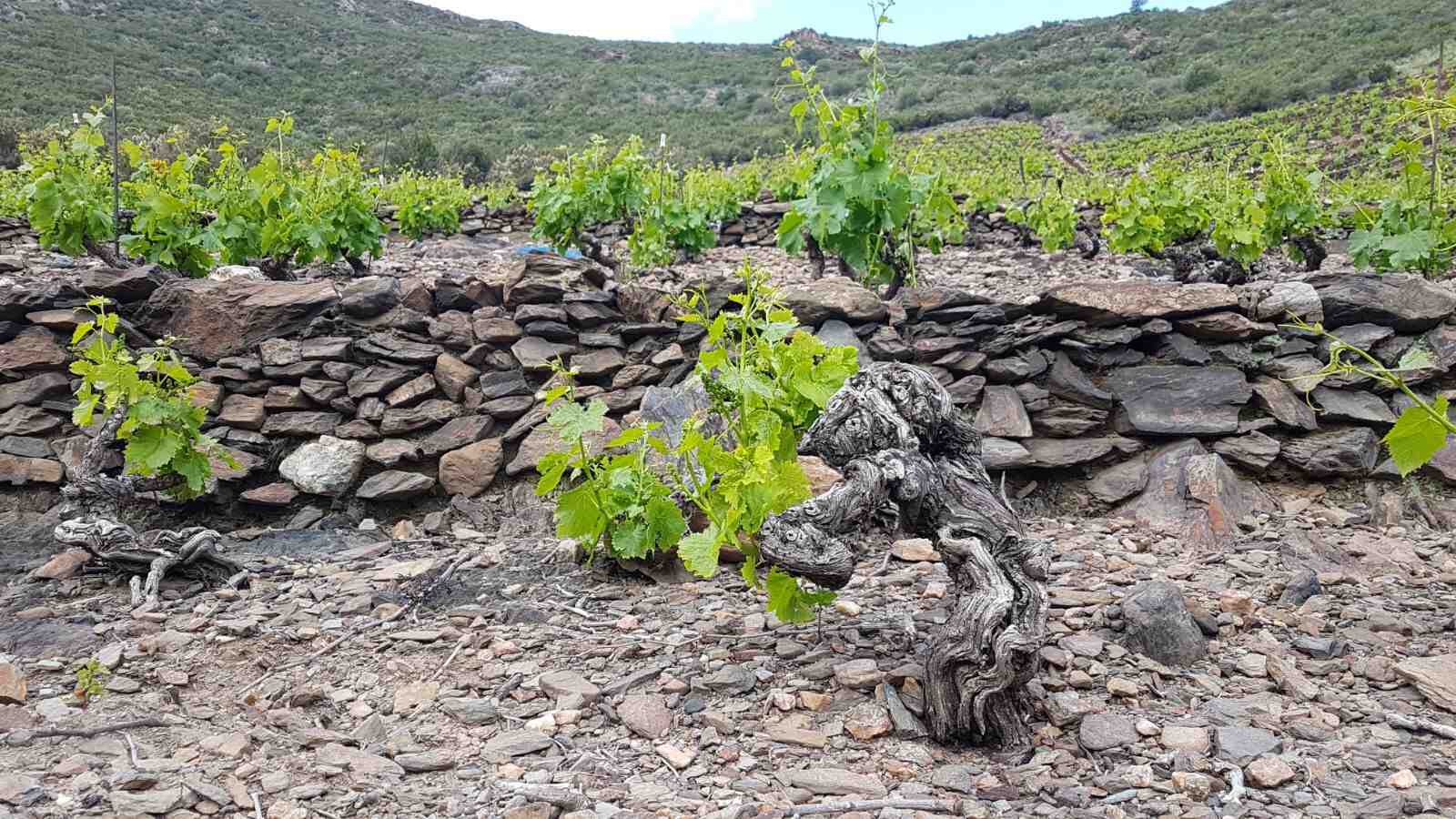 Quel jeux garçon 3 ans ?