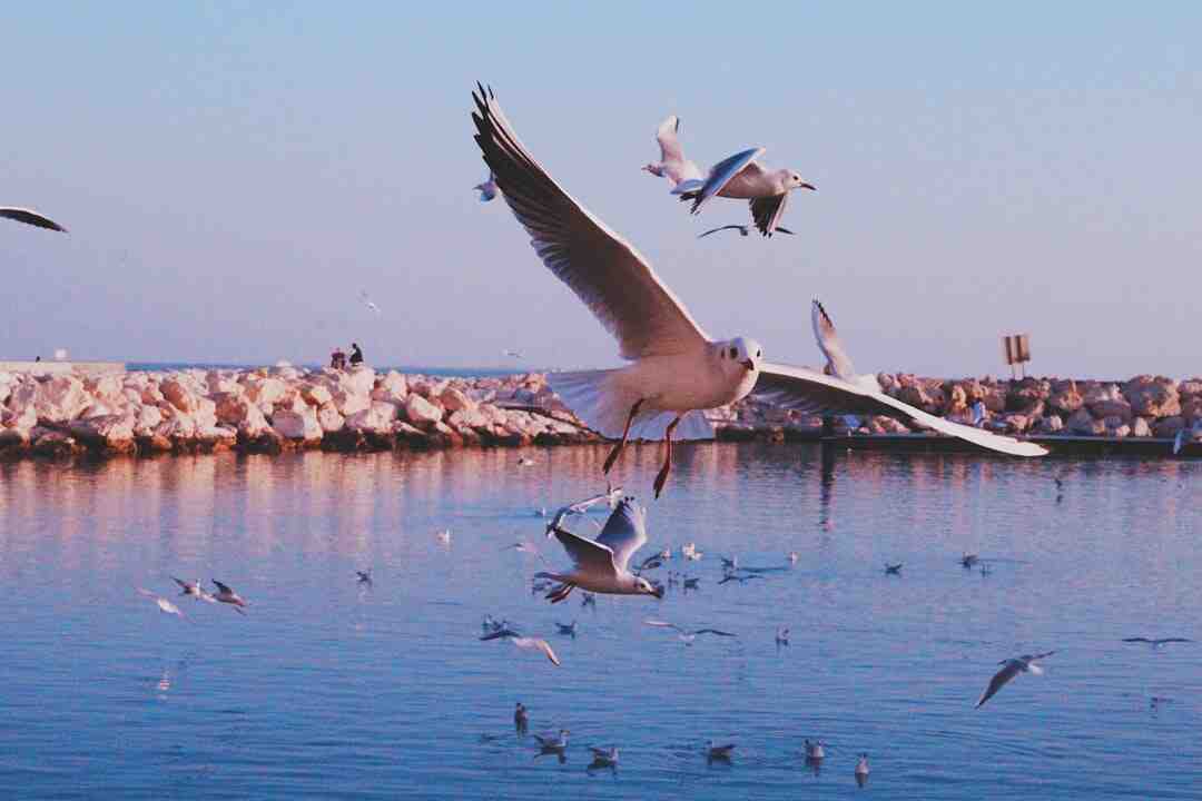 Quel jeux garçon 3 ans ?