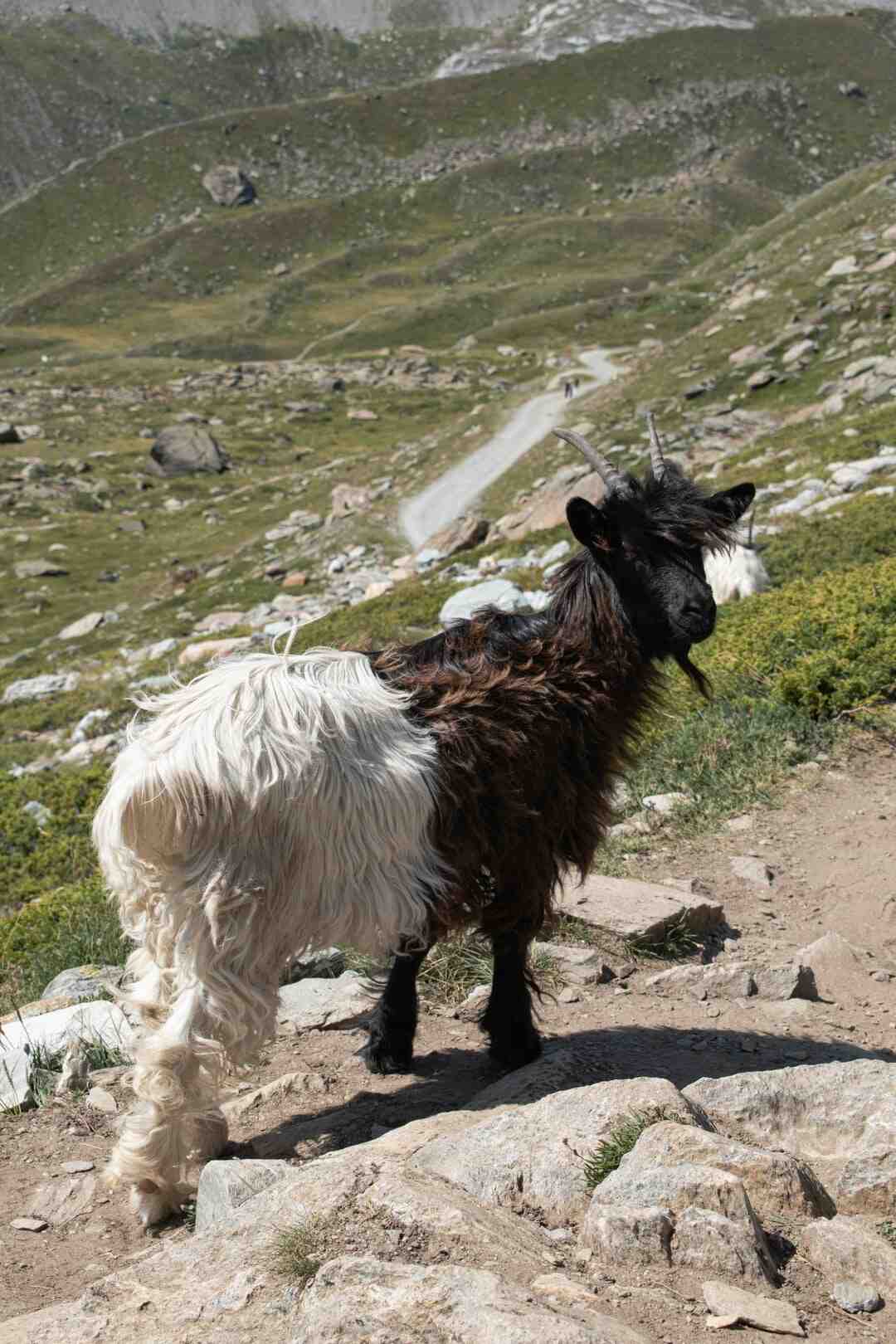 Quel jeux pour 6 ans ?