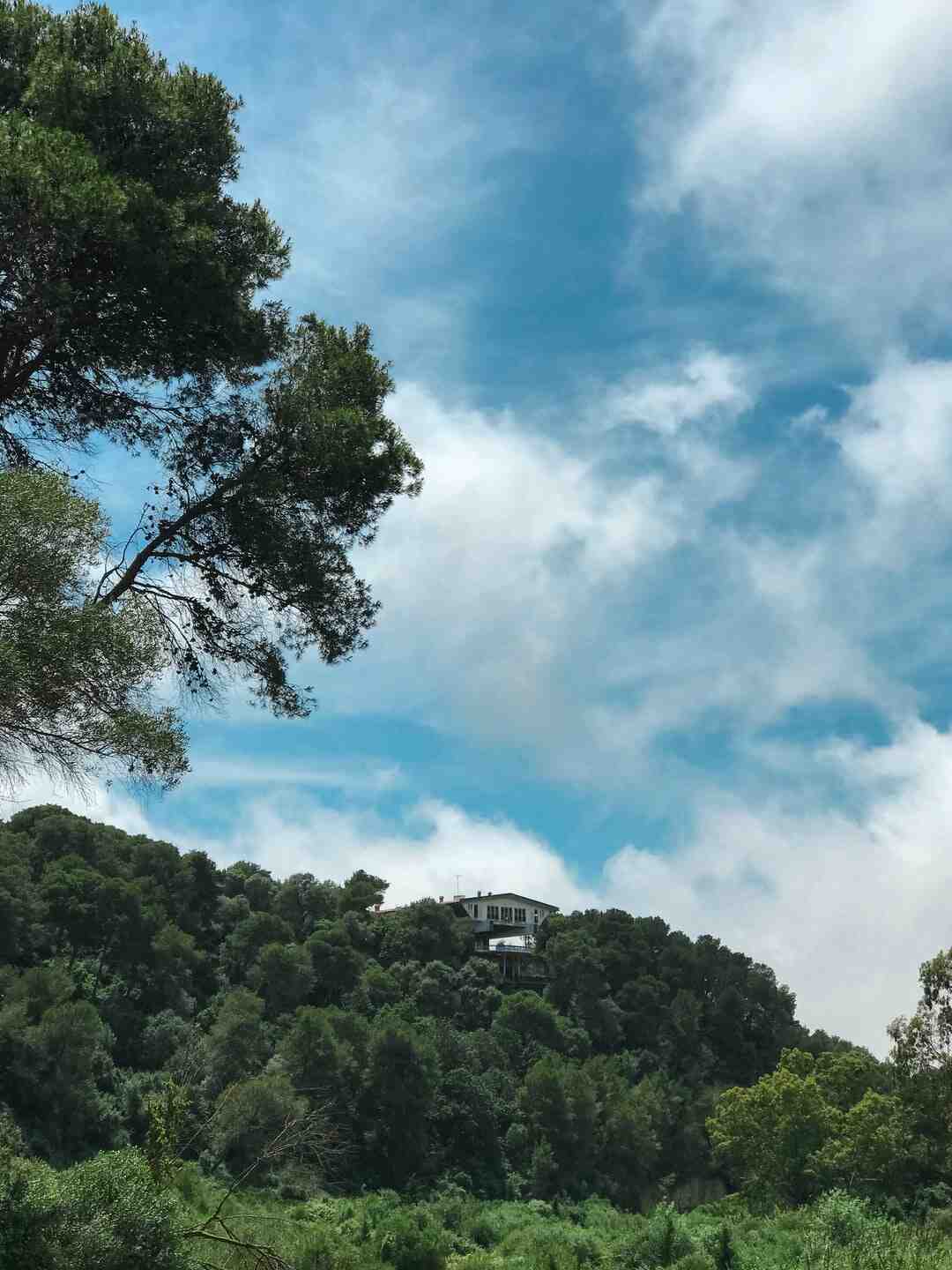 Comment jouer à Knock-out City ?