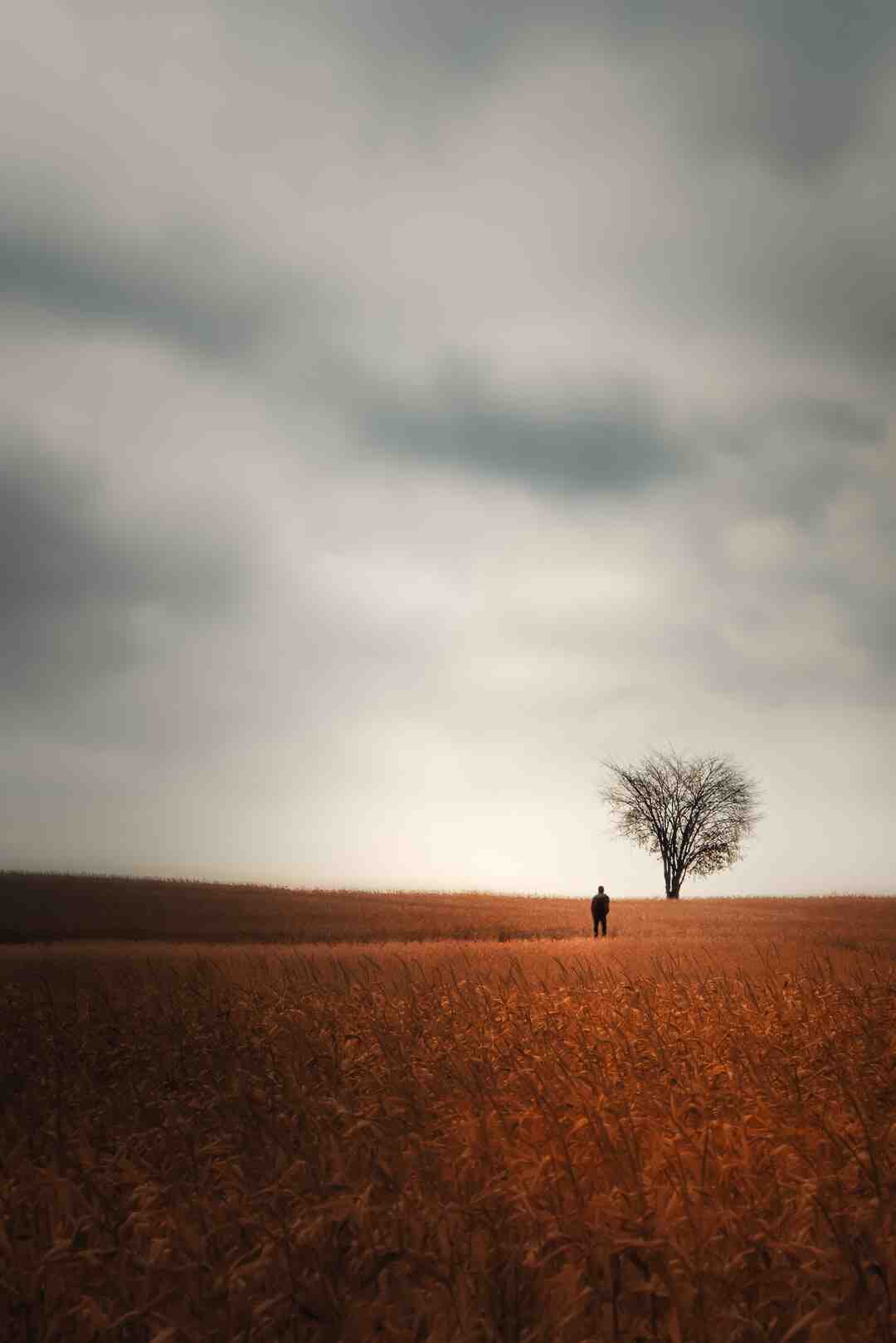 Quel âge a Roblox ?