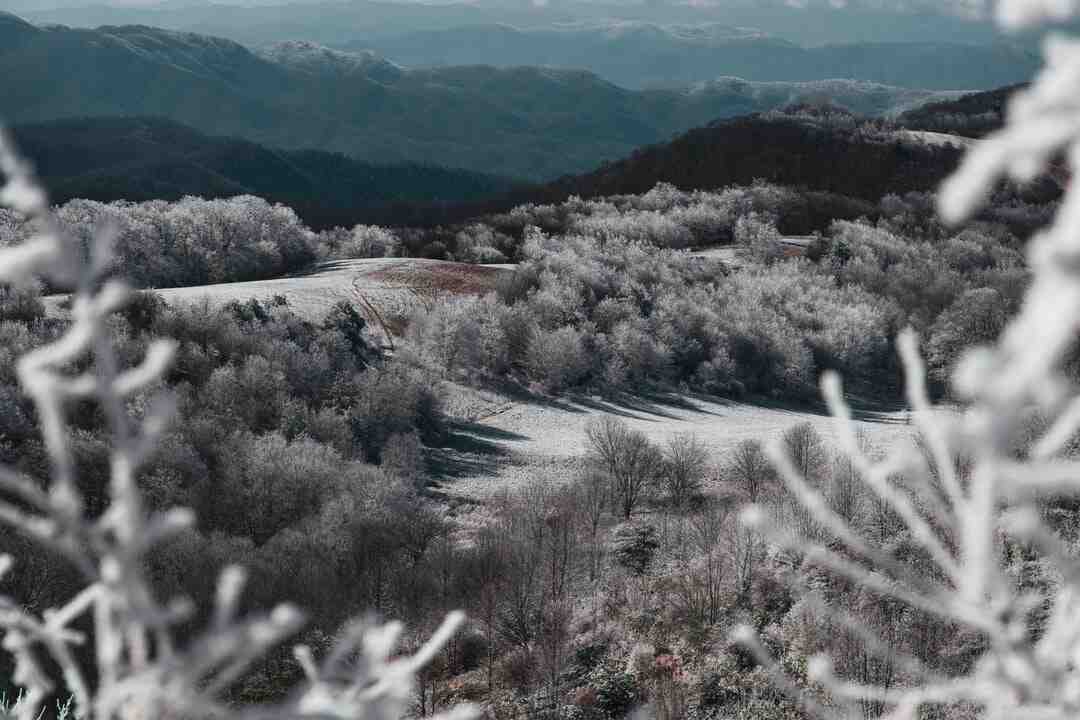 Quel jeu pour Garçon 10 ans ?