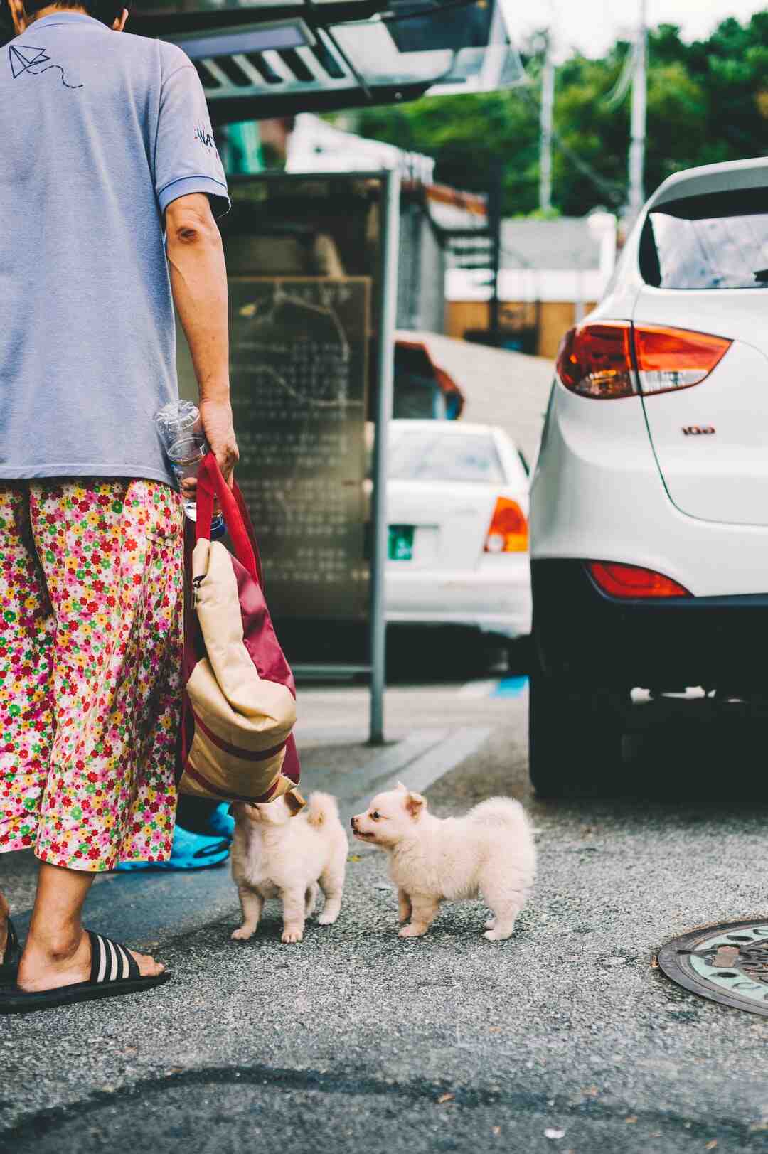 Quel jeux d eveil pour un bébé de 2 mois ?