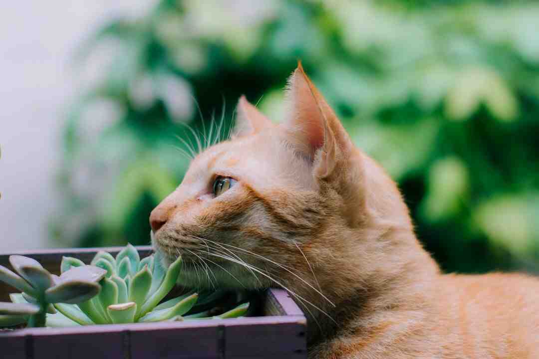 Quel jeux educatif 3 ans ?