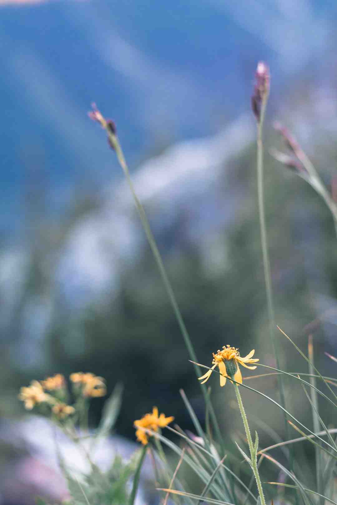 Comment faire un jeu avec de l'eau ?