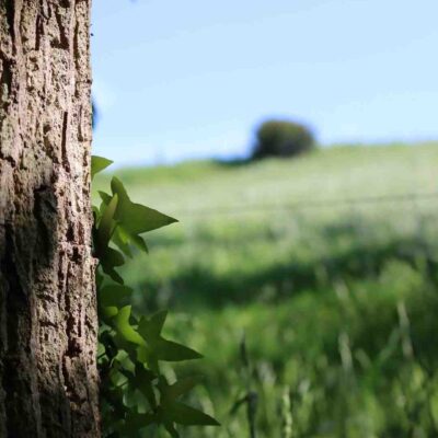 Jeux en bois djeco