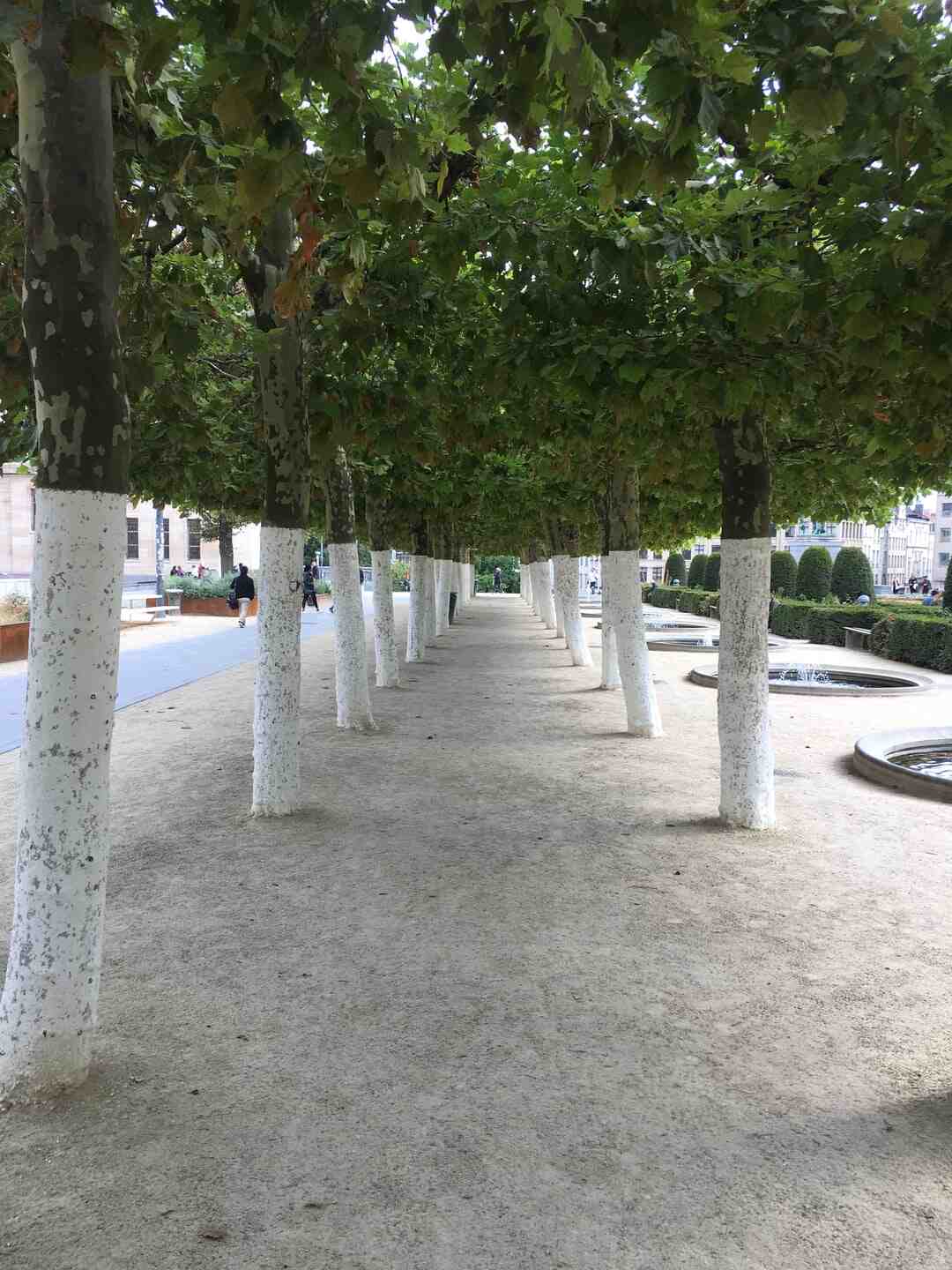 Où il y a un parc aquatique ?