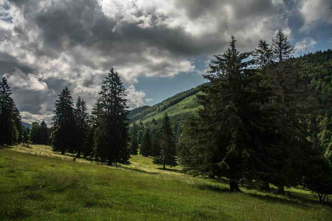 Quand acheter PS5 Suisse ?