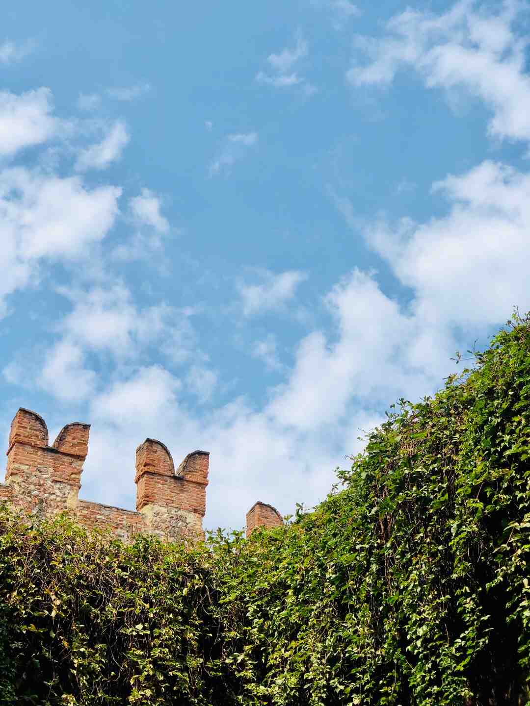 Quel éducatif CE2 ?