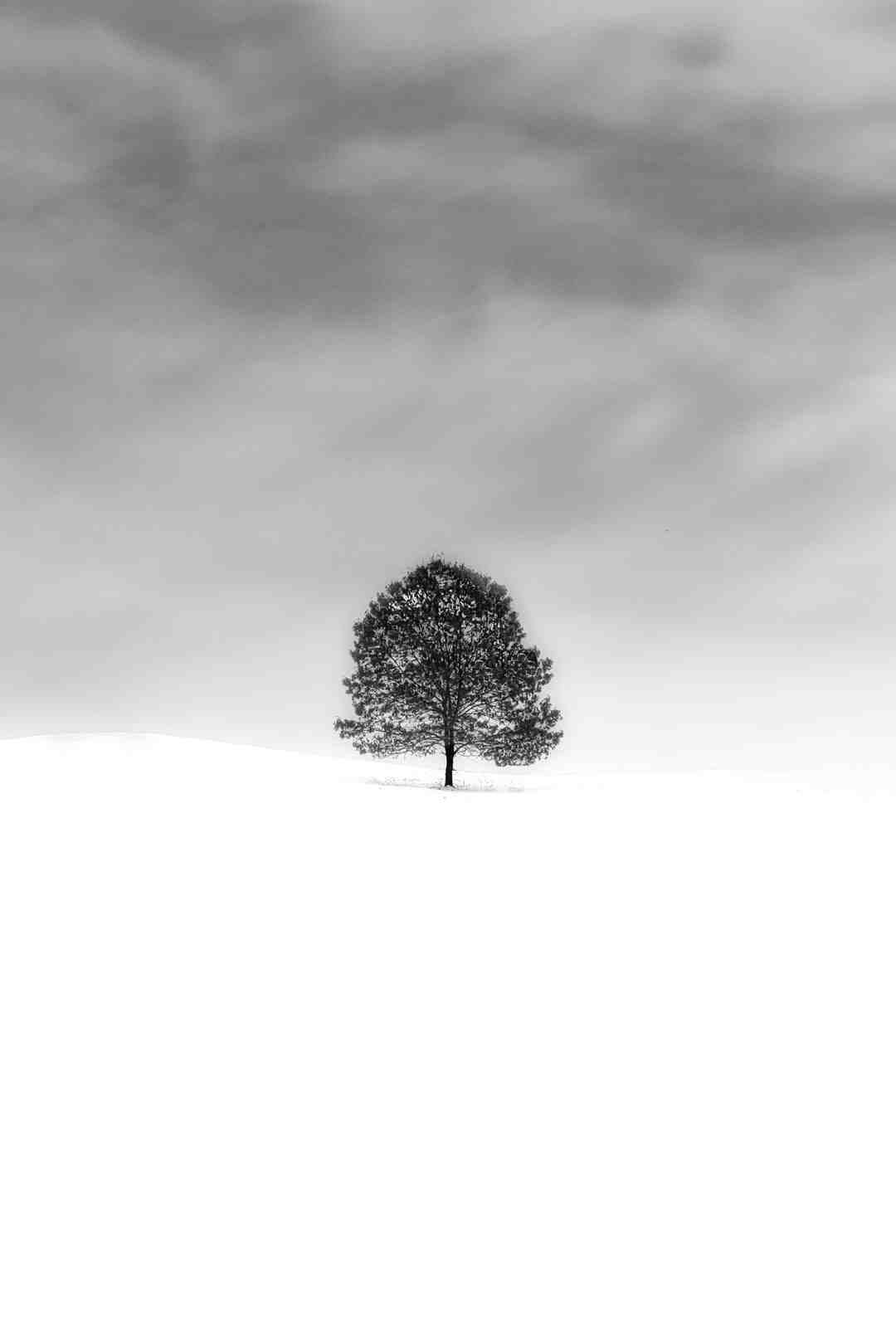 Qui a créé les échec ?