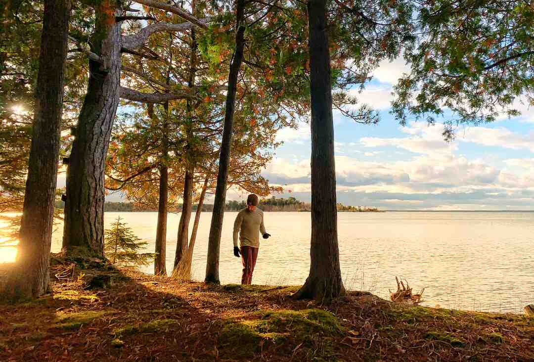 Où acheter jouet en bois ?