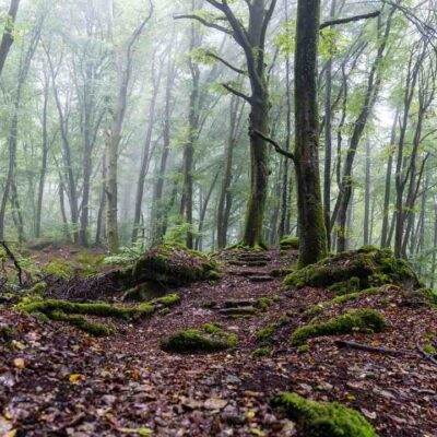 Ou acheter la ps5 luxembourg