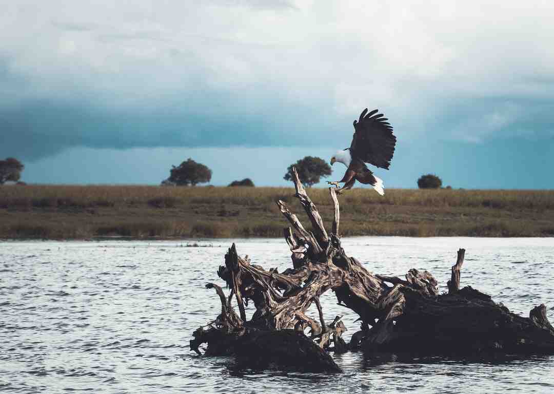 Quand Est-ce que Aqualand ouvre ?