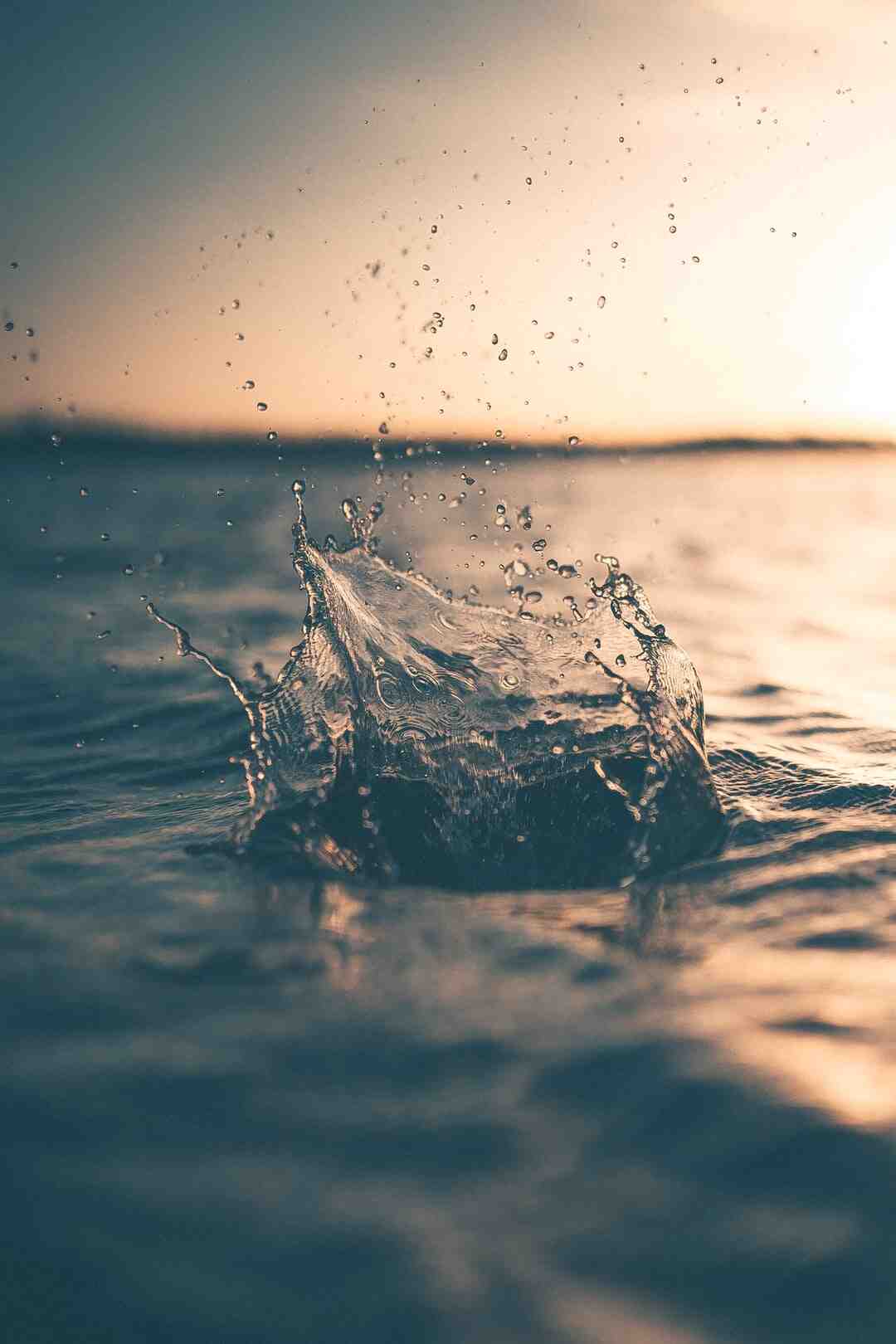 Quel Aqualand est le mieux ?