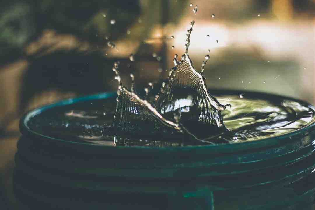 Quels sont les meilleurs parcs aquatiques de France ?