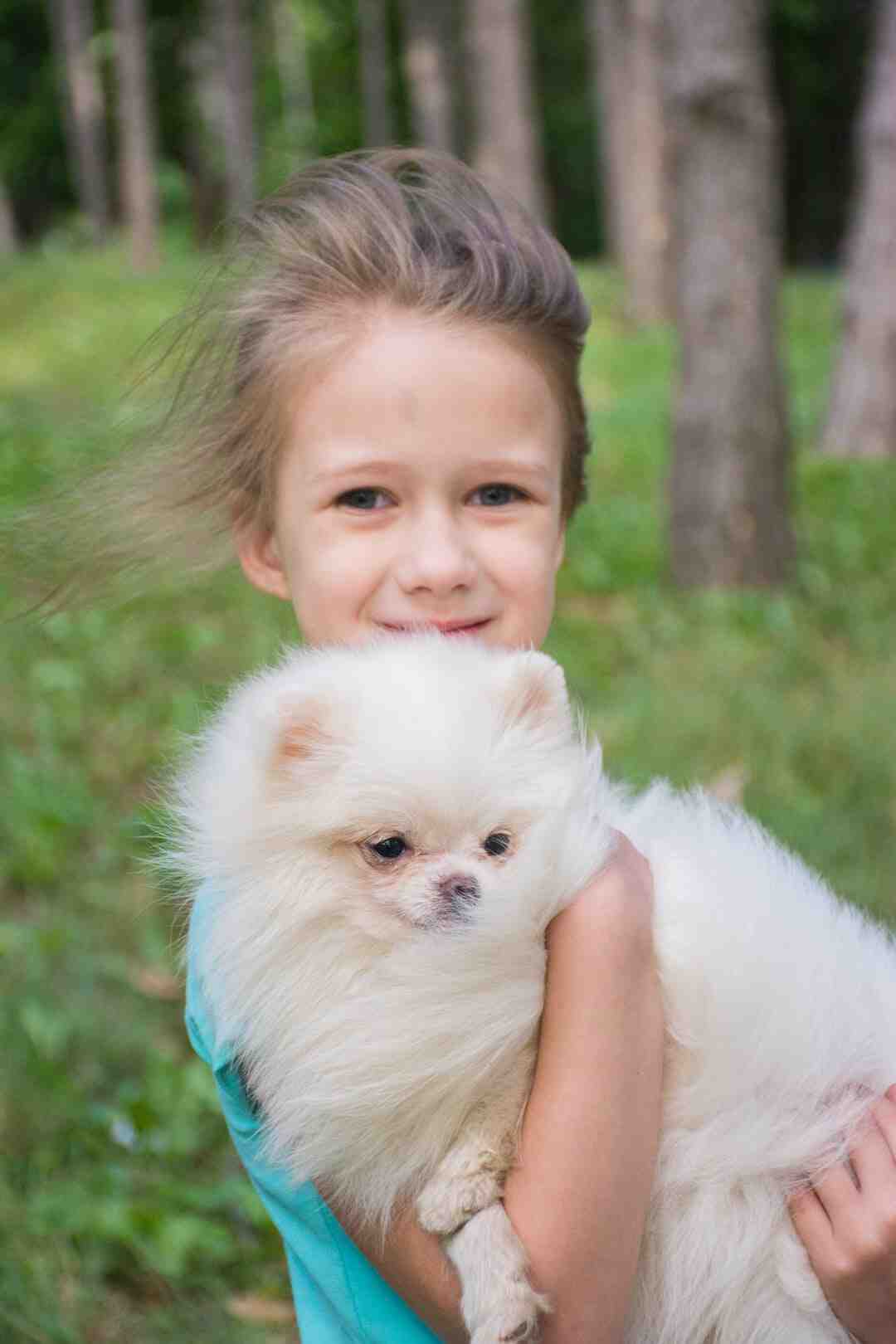 Comment jouer à des jeux de PS4 sur PC ?