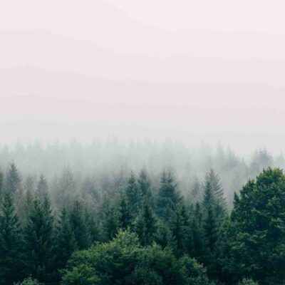 Jeux educatifs nature et decouverte