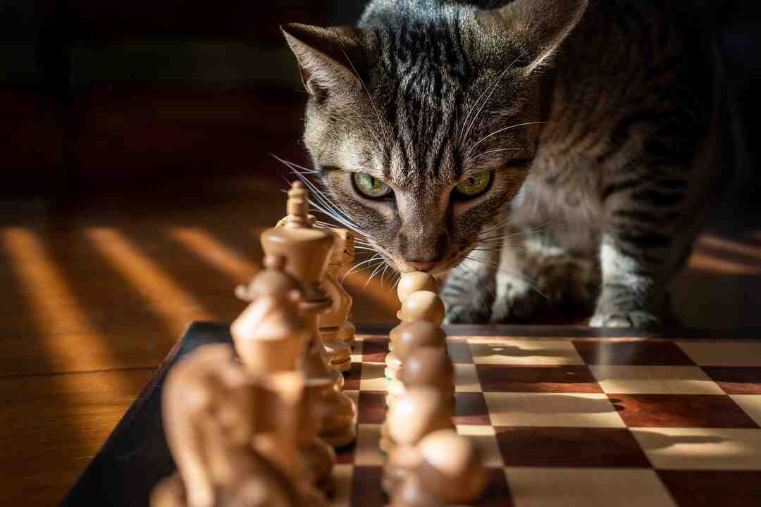 Quel est le jeu le plus vendu au monde ?