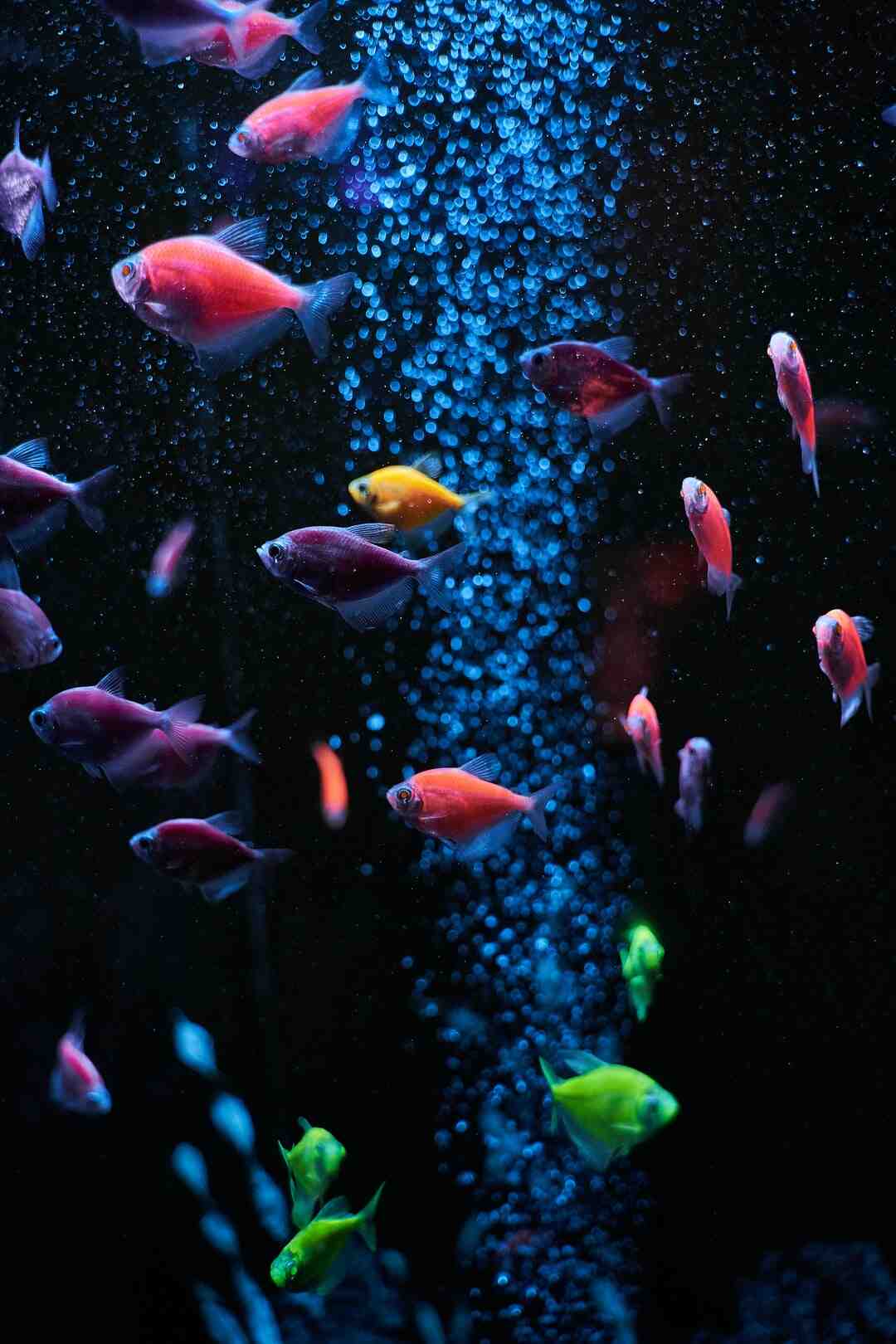 Quel est le meilleur parc aquatique d'Europe ?