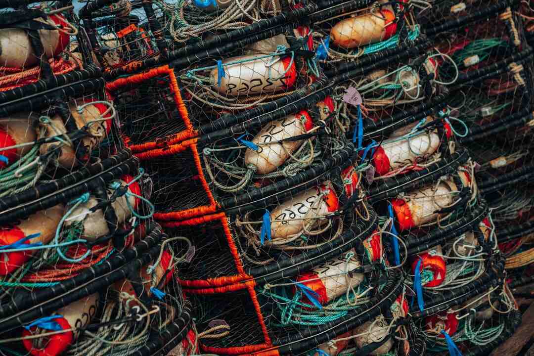 Qu'est-ce que la motricité globale ?