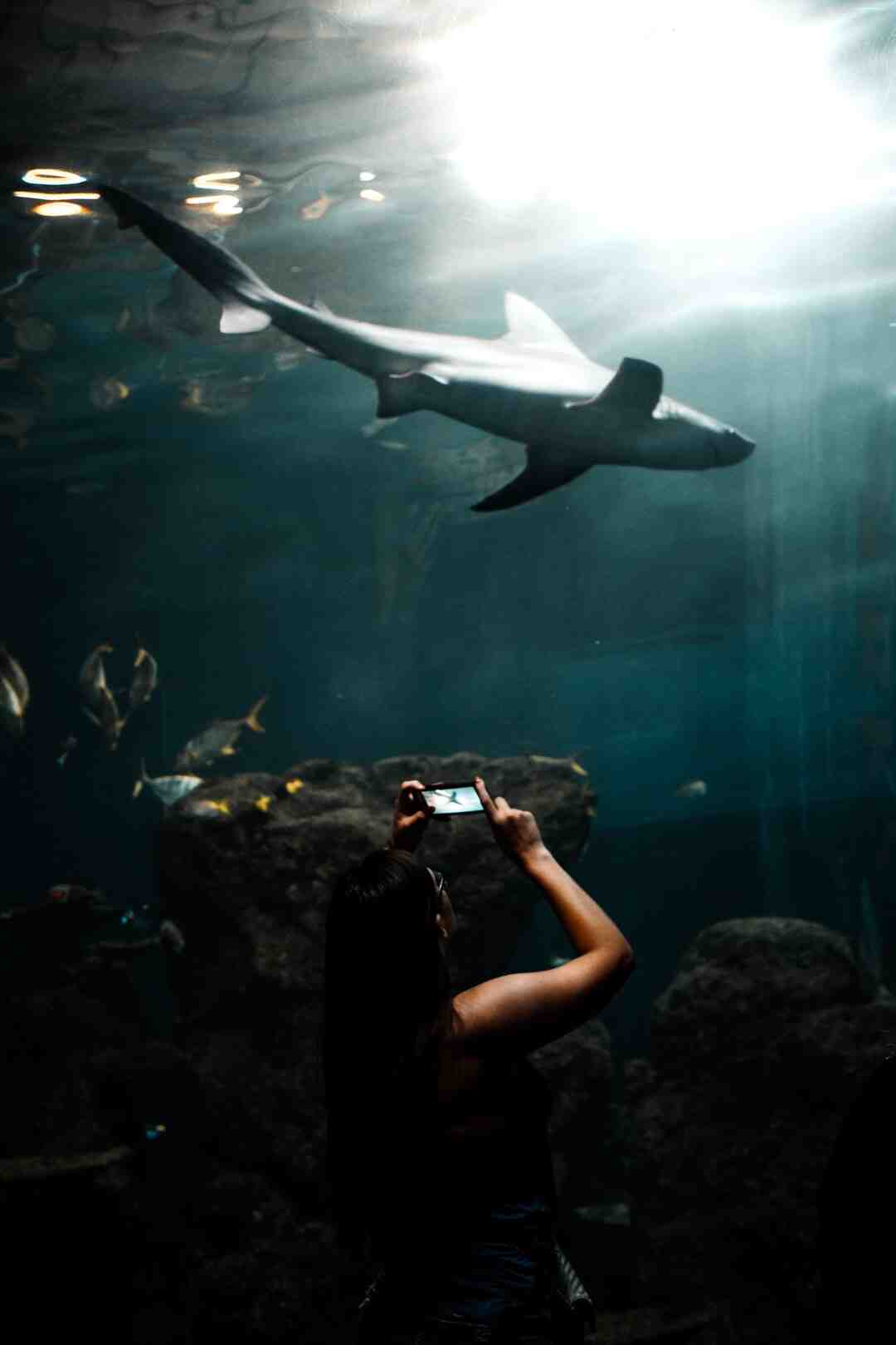 Quel est le meilleur parc d'attraction du monde ?