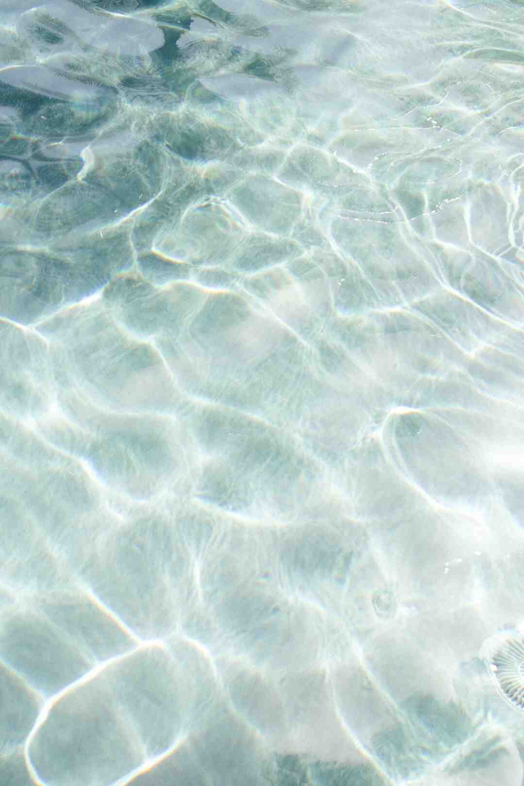 Comment faire une bataille d'eau ?