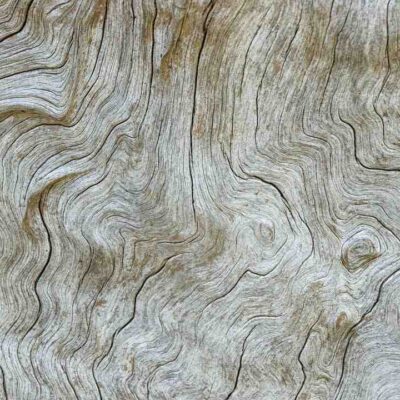 Jeux en bois quixo