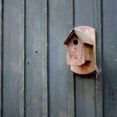 Jeux educatif en bois 4 ans