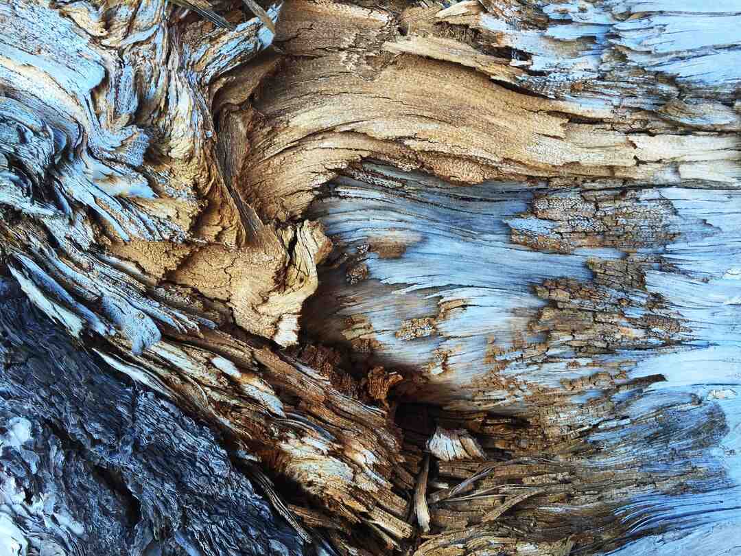 Qu'est-ce qu'un bébé éveillé ?