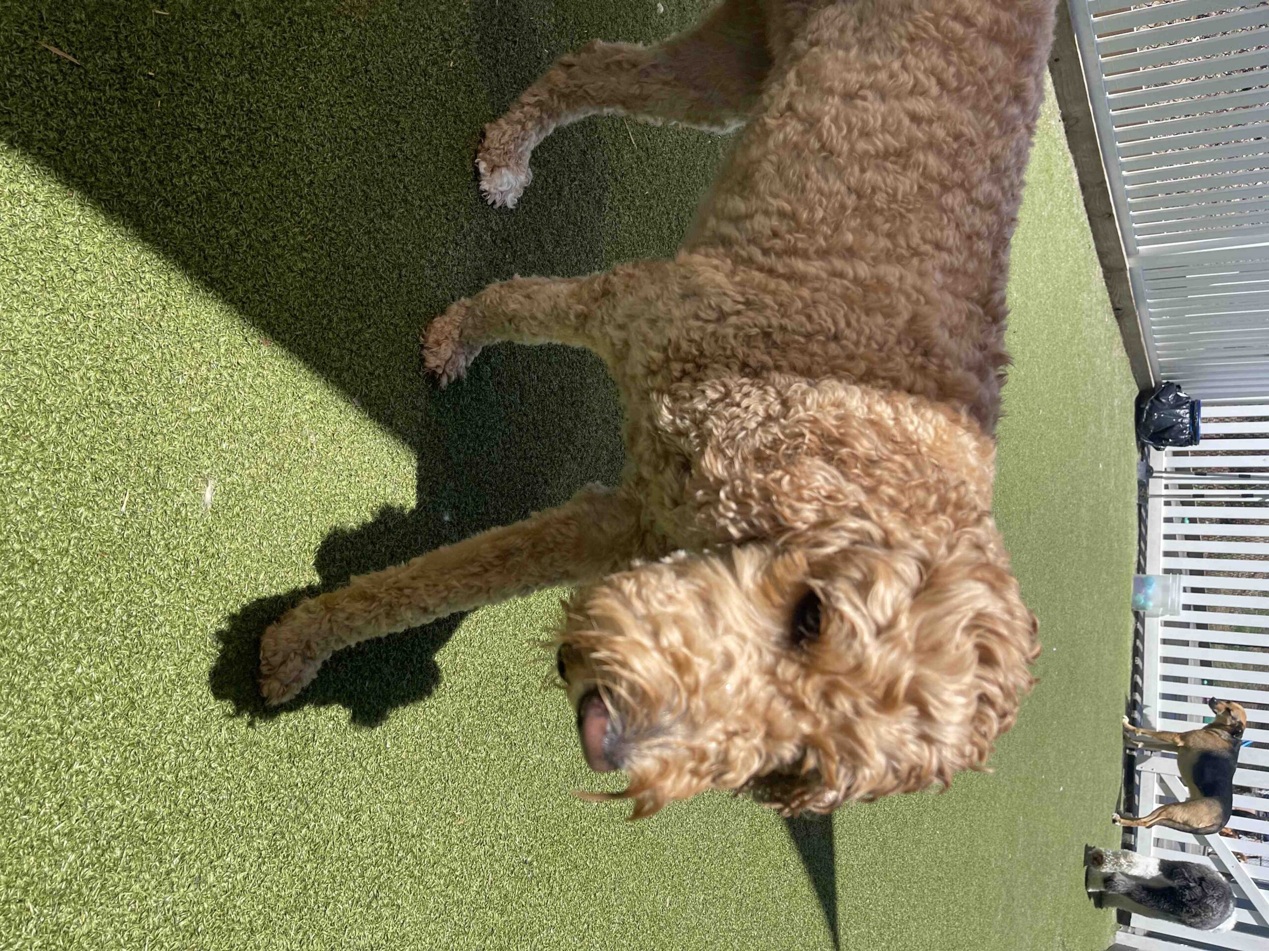 Comment faire un dépôt sur Casinozer ?