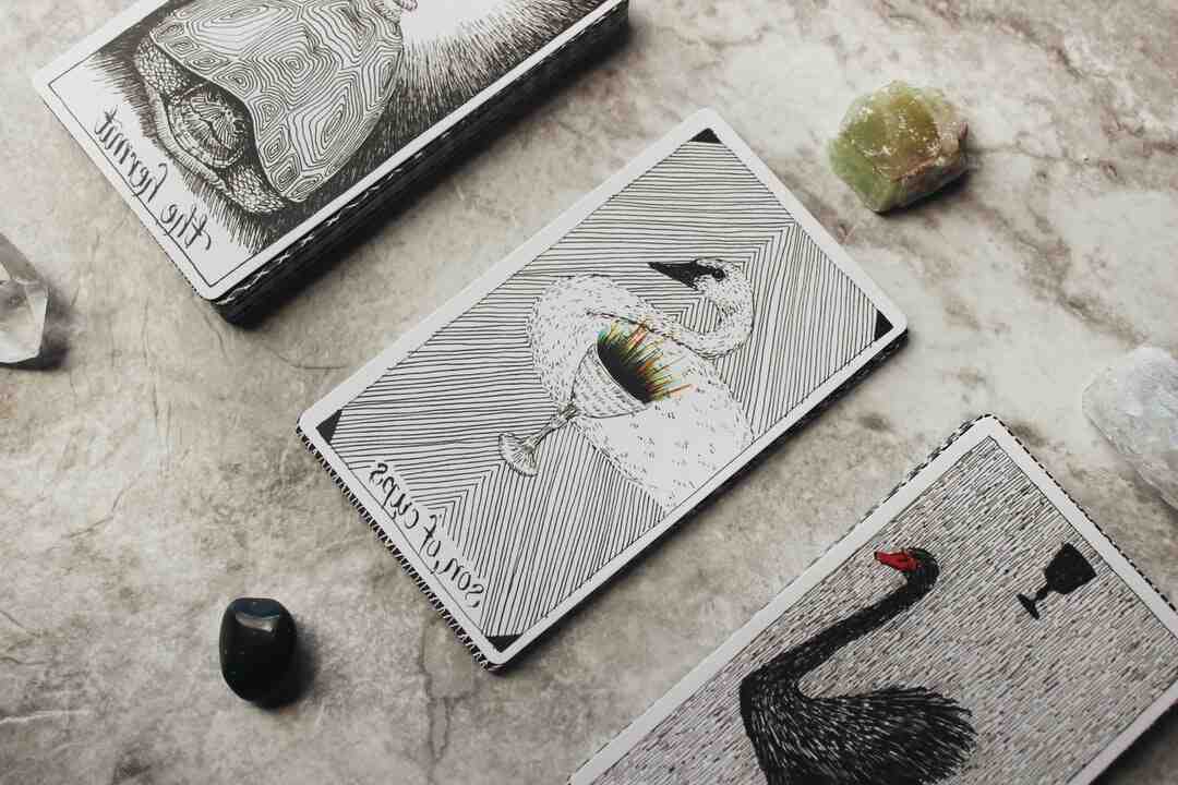 Comment jouer au tarot à 5 ?