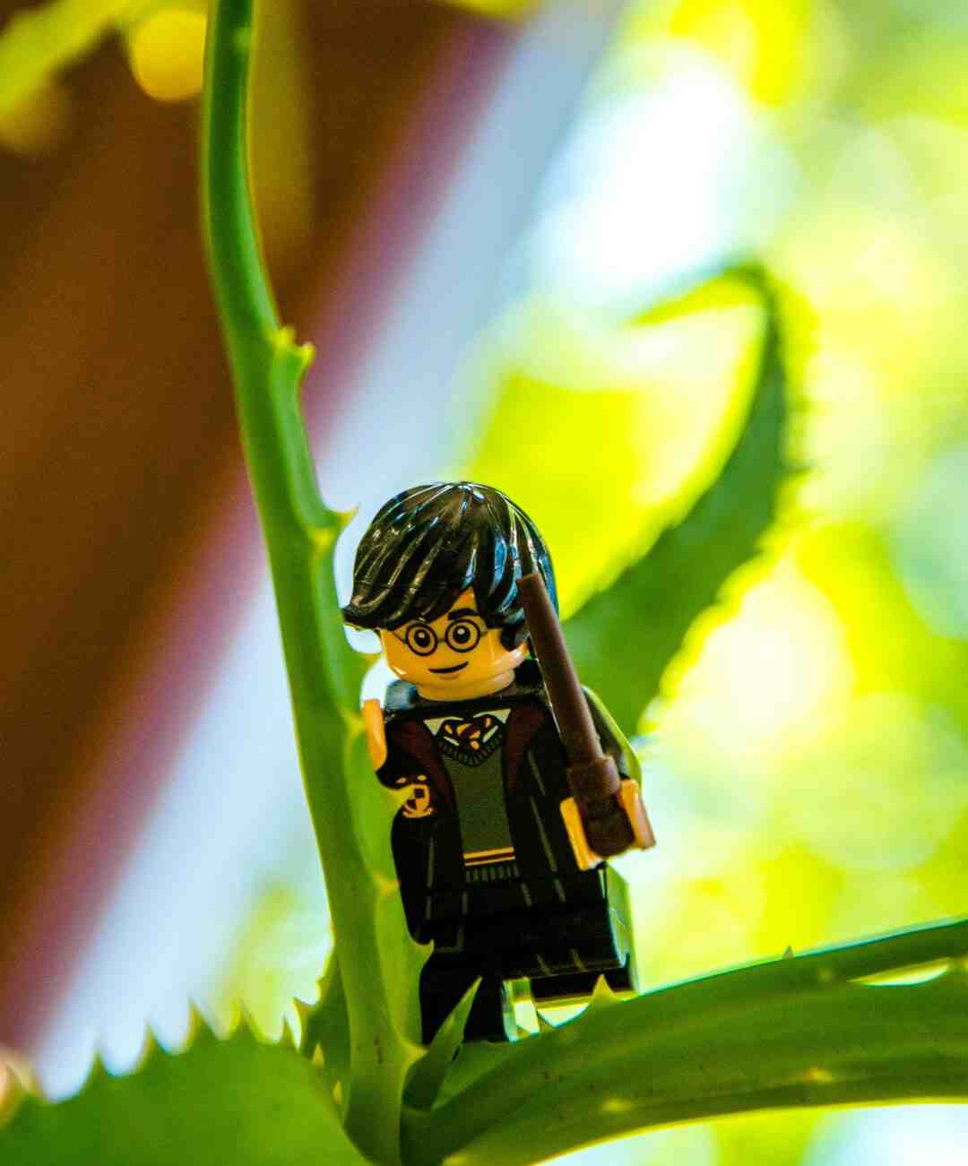 Comment changer de sort dans Harry Potter Lego switch ?