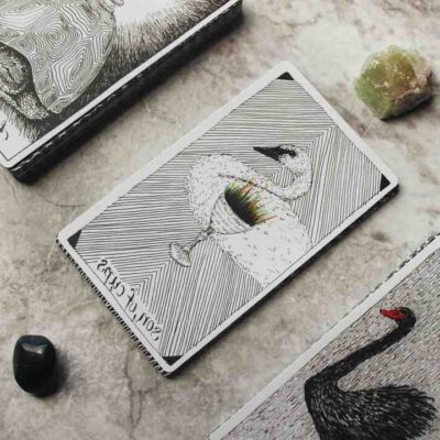 Comment jouer au tarot gratuitement ?