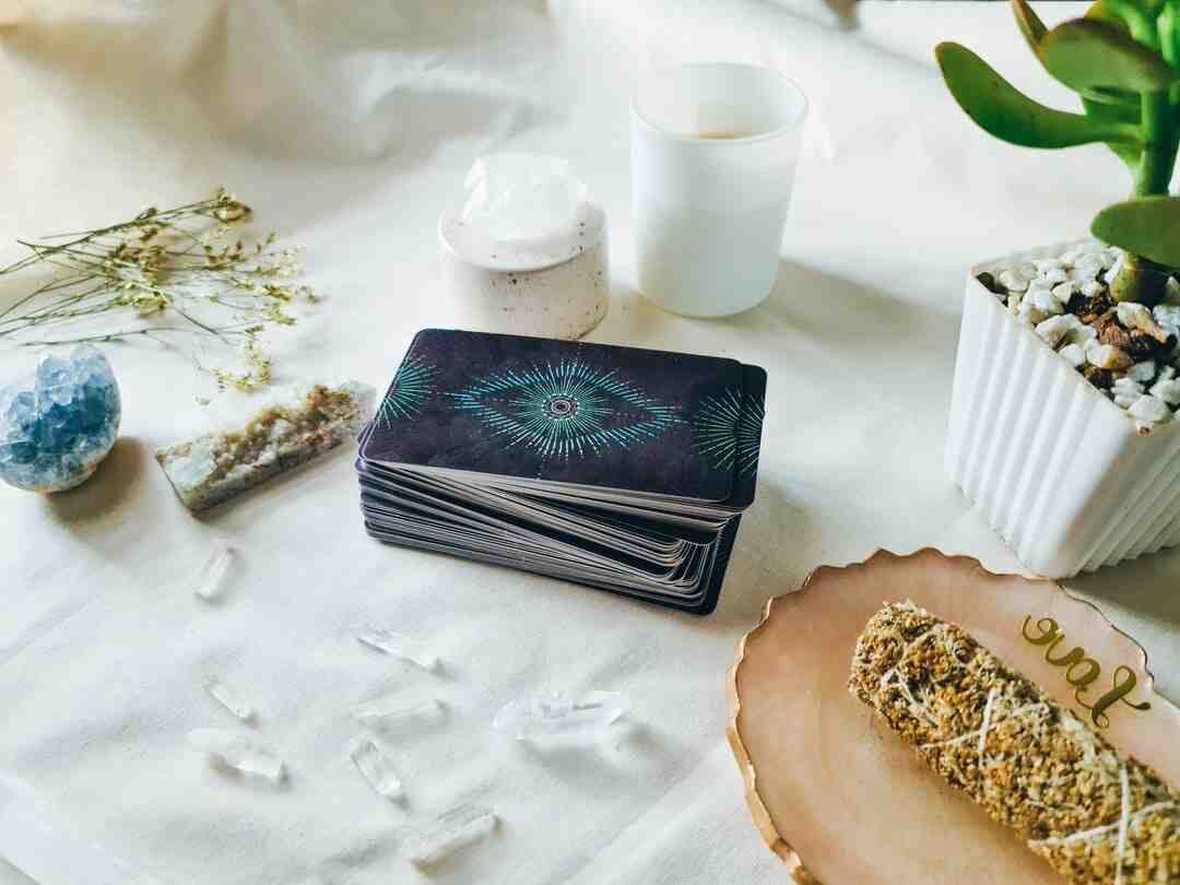 Comment on appelle un joueur de tarot ?